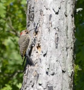 FB_IMG_1652278555536